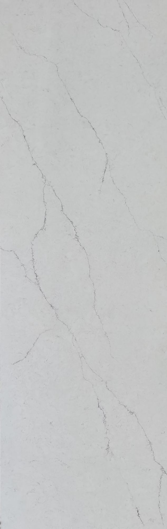 線紋系列
