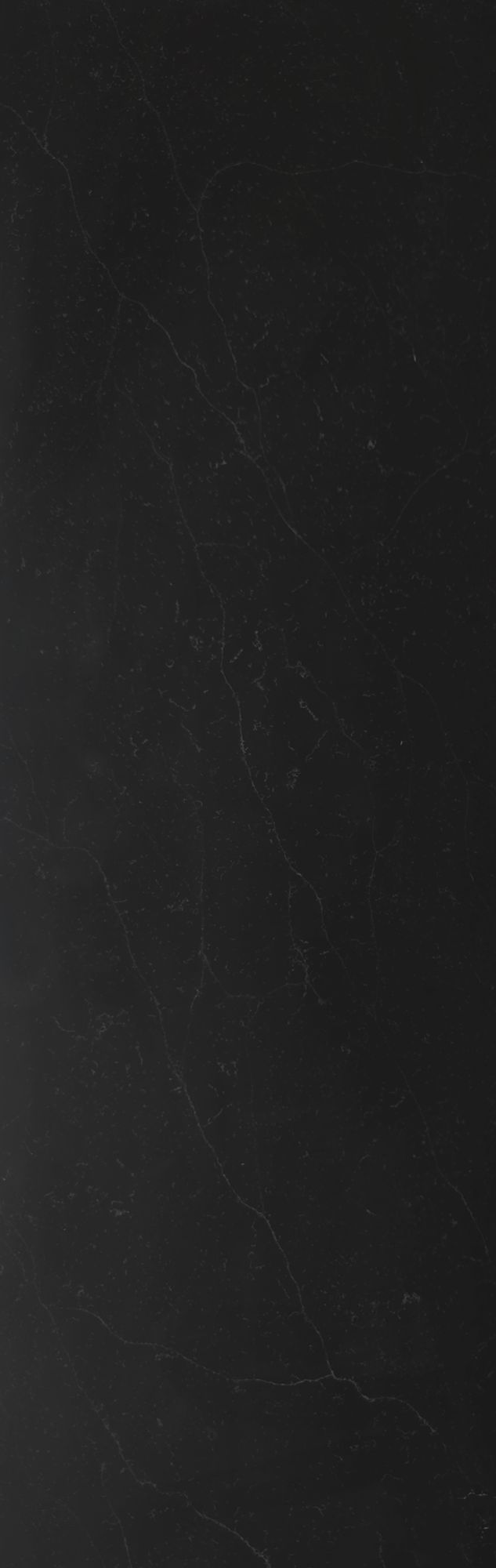 線紋系列
